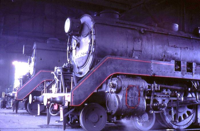38 class locomotives
in the roundhouse at a country depot